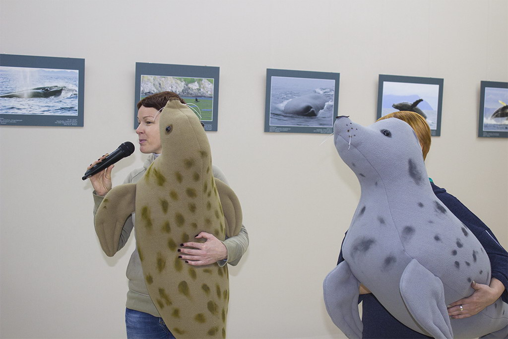 Гость из шведской Балтики откроет День тюленя 2020 на Куршской косе