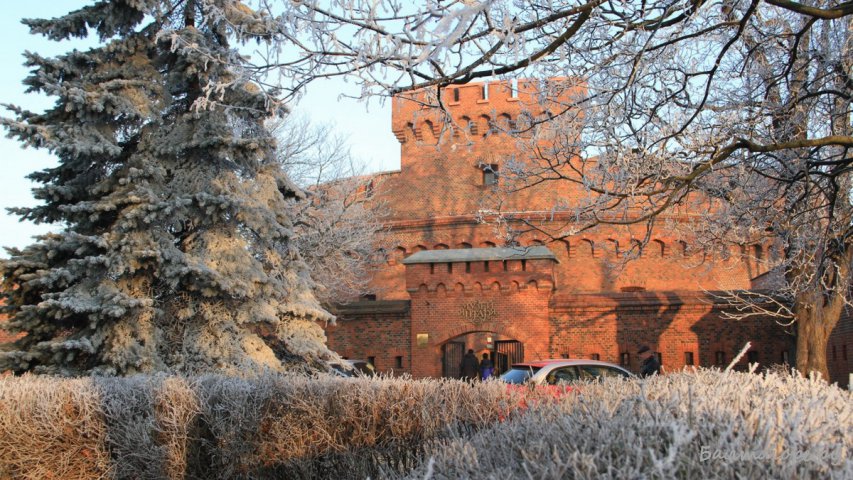 Калининградские штатгальтеры решили участь башни Врангеля