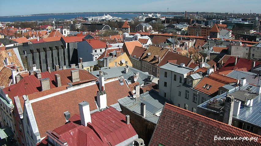 В Эстонии нашлись фрики, ратующие за отмену виз с Россией