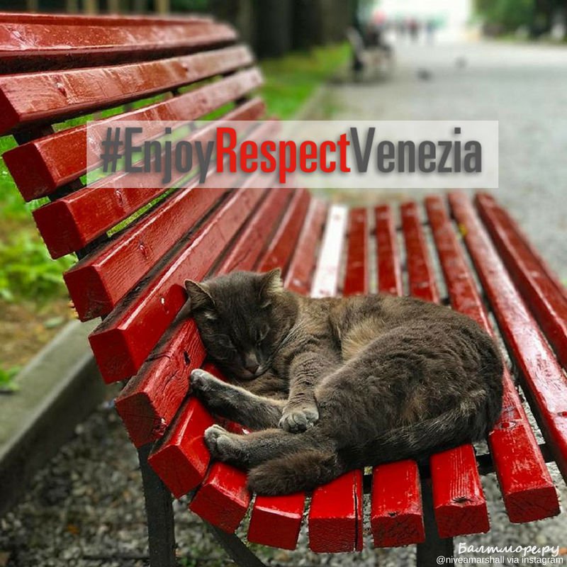 EnjoyRespectVenezia: туристов научат уважать Венецию