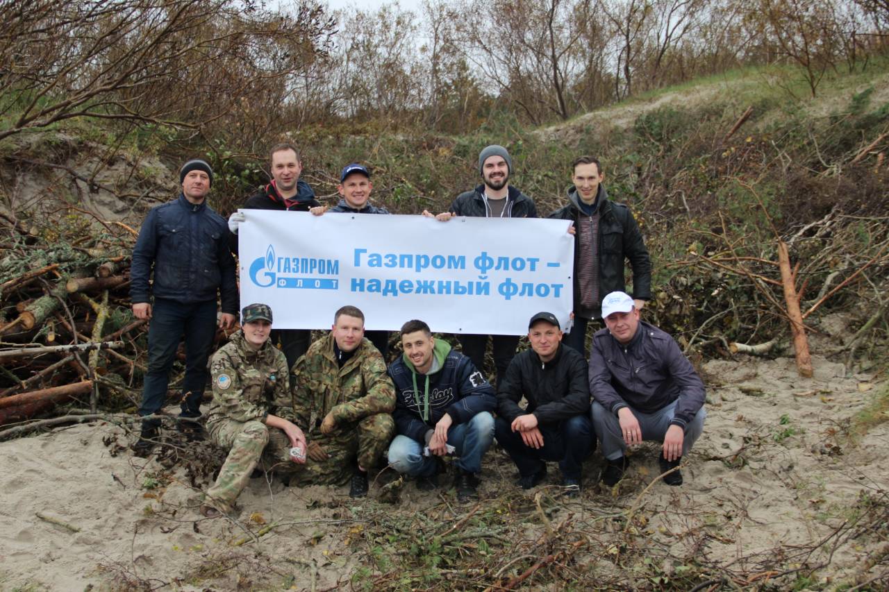Авандюна Куршской косы крепнет благодаря волонтёрам Газпром флота