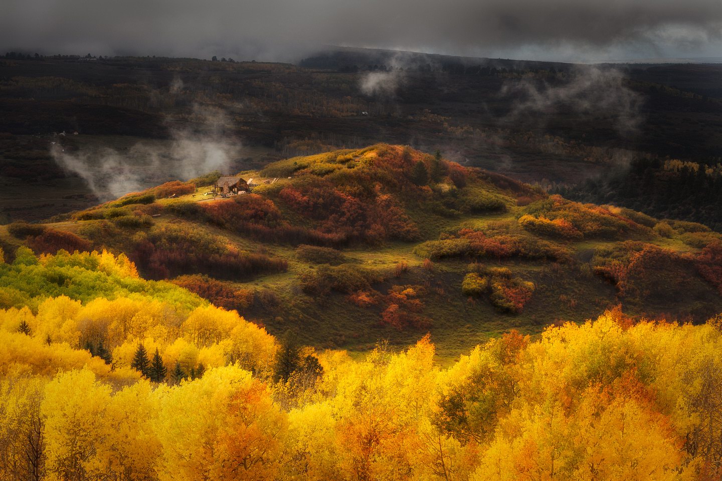Национальный парк «Куршская коса» объявляет фотоконкурс «Краски осени»